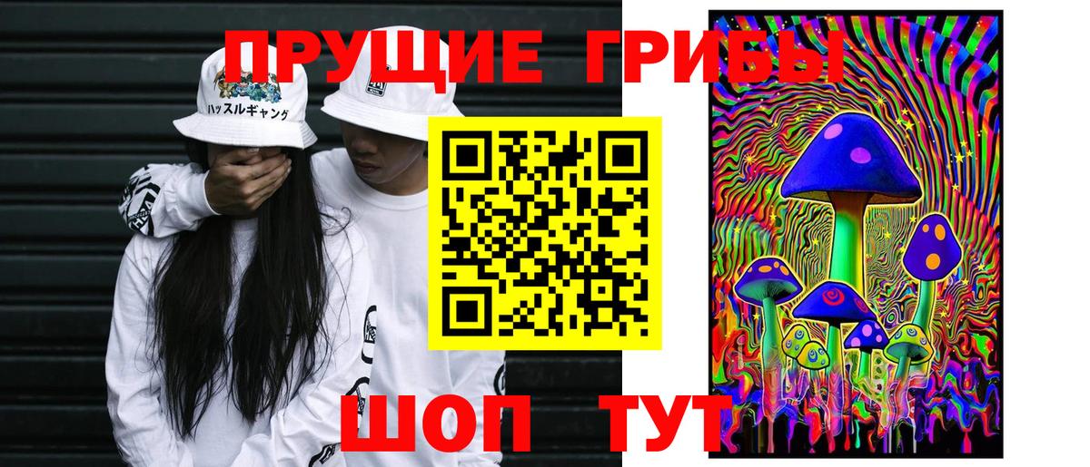 Псилоцибиновые грибы ЛСД  Вход с VPN  где купить   Верхняя Пышма 